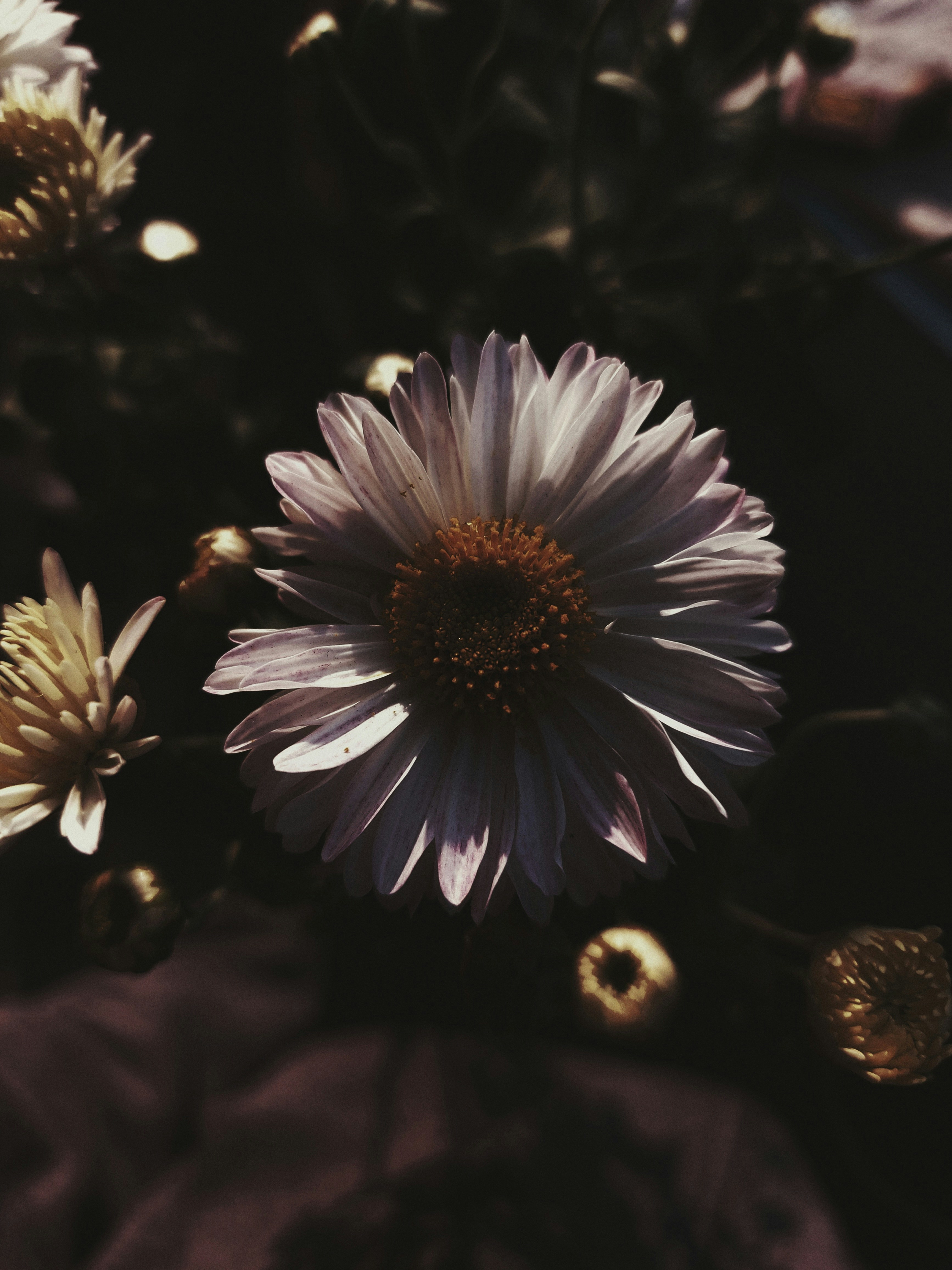 Photo by smile_with_me