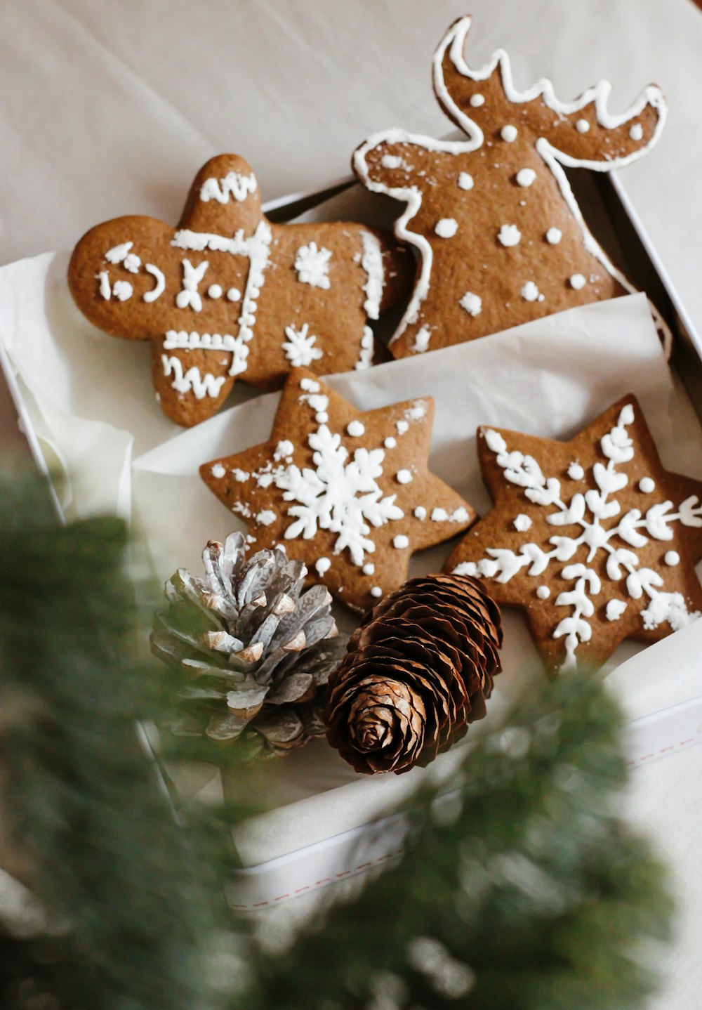 brown and white star print gift wrapper