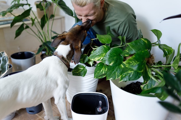 A caring pet manager interacting warmly with shelter animals in a bright, organized space.