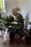 A caregiver helping a client tend to a small, vibrant indoor garden bathed in natural light.