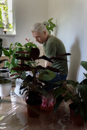 A person with light-colored hair is focused on a task, surrounded by several potted plants indoors. They are wearing a green shirt and blue jeans, kneeling on a hardwood floor. Sunlight filters in from a window, casting light on the plants and creating a calm atmosphere.