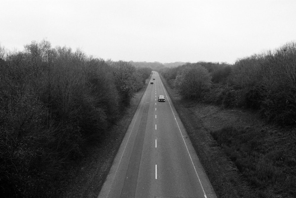 grayscale photo of road between trees