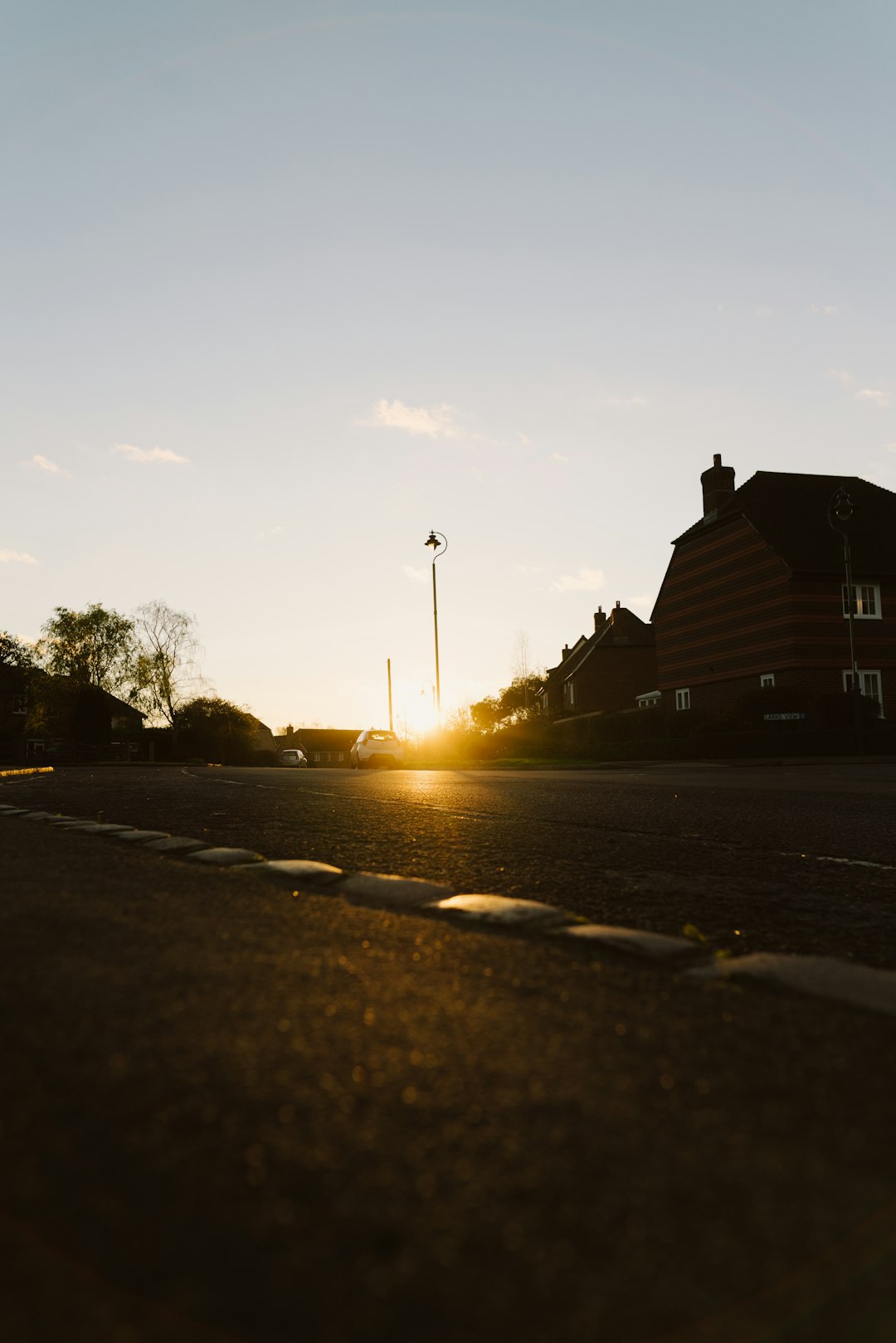 silhouette of trees and buildings during sunset