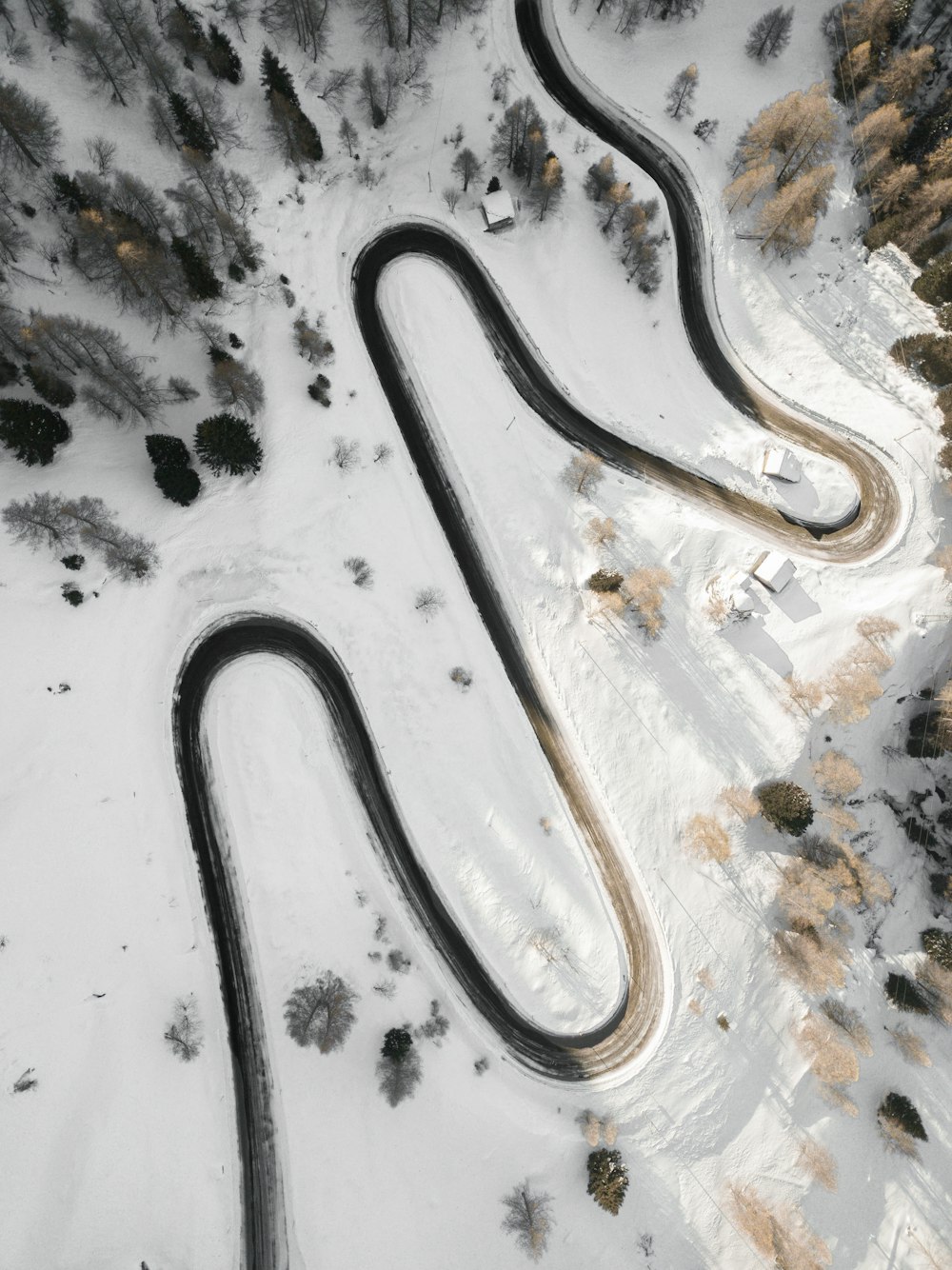 Route en noir et blanc pendant la journée