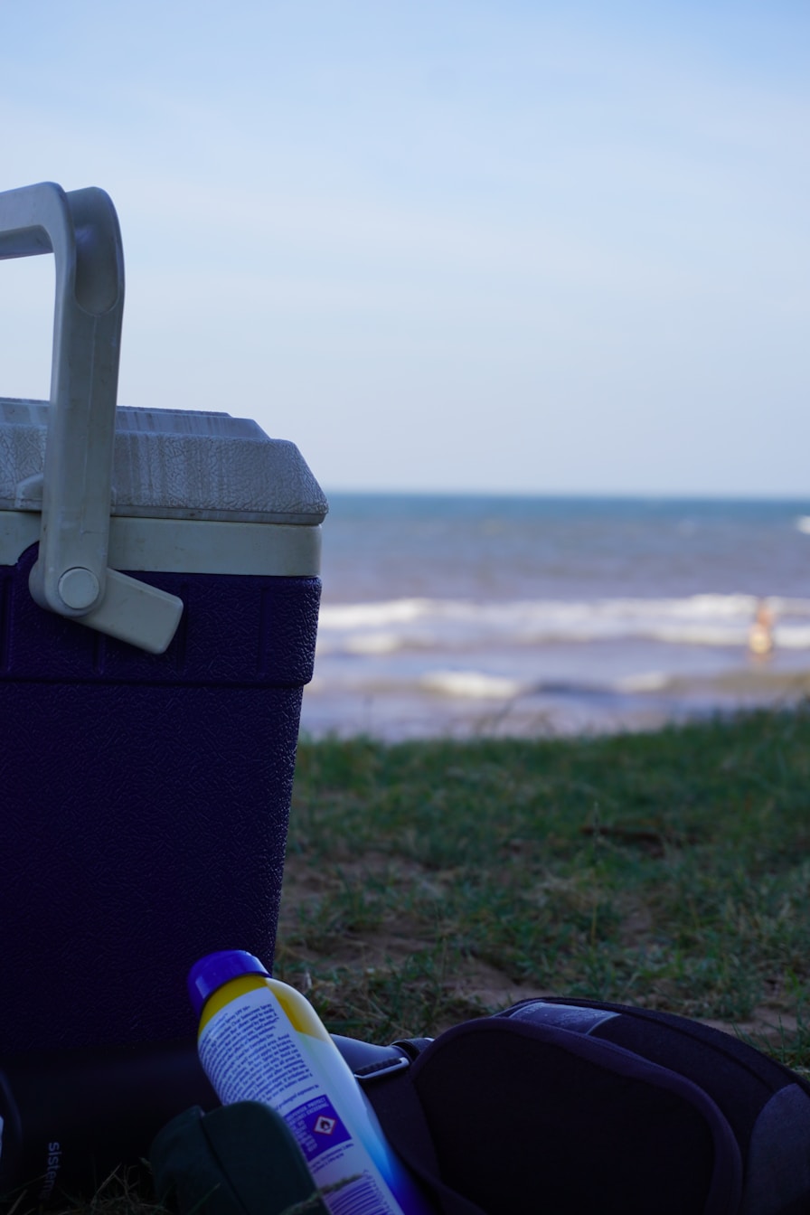A person using a remote control cooler at a picnic