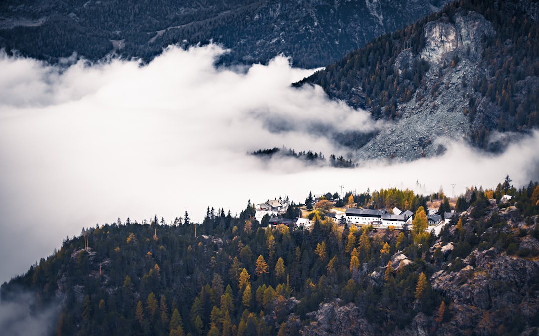 green trees near mountain under white clouds during daytime