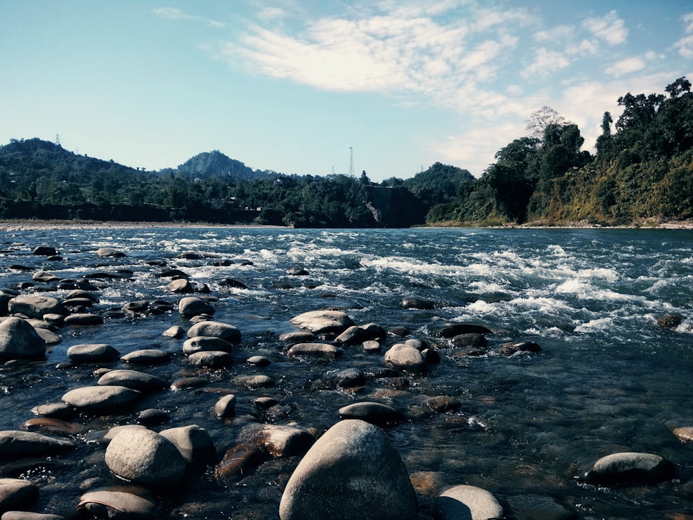 rocky river with rocks and trees under blue sky during daytime