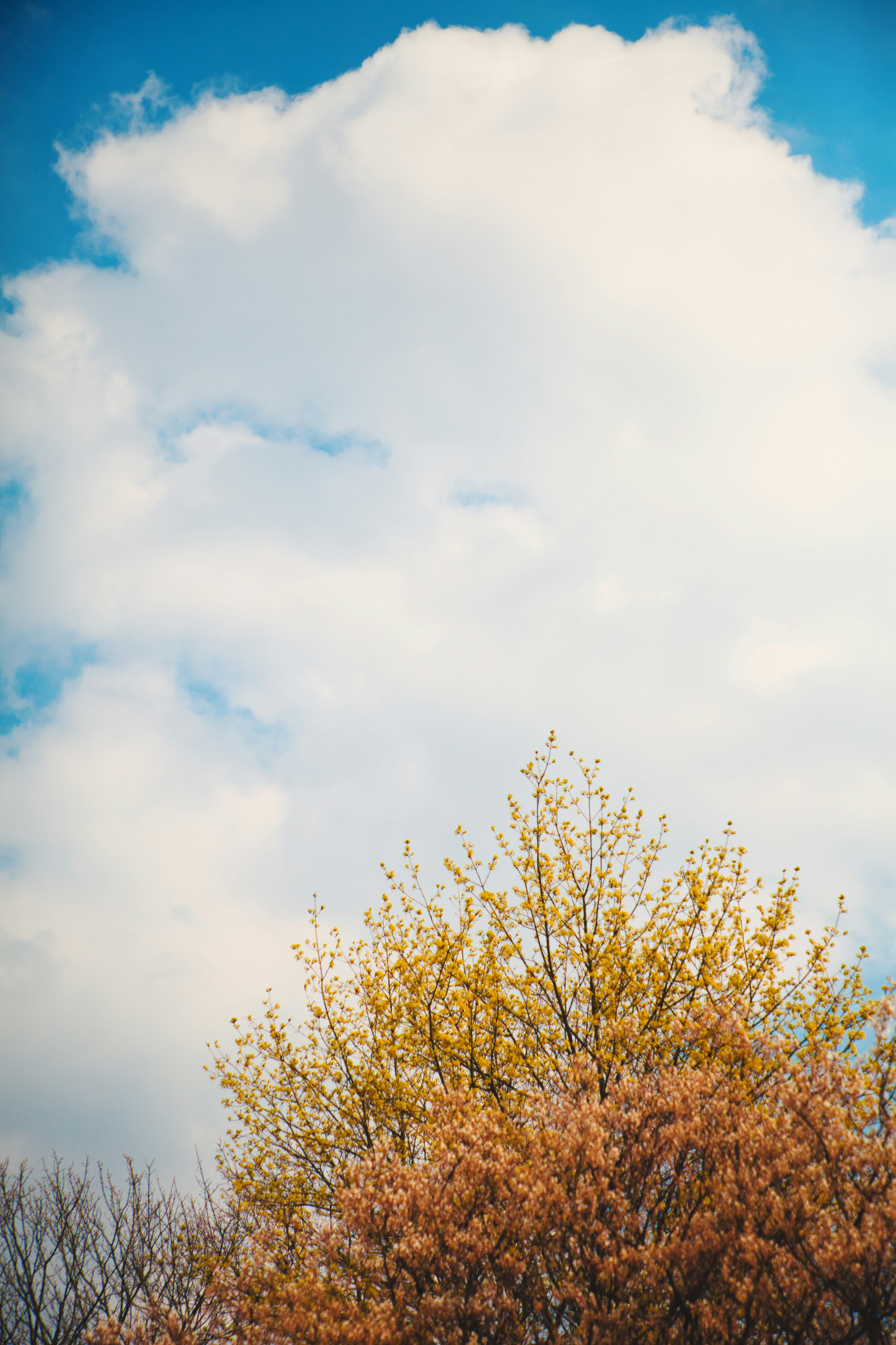 Photo by dermitdemohr