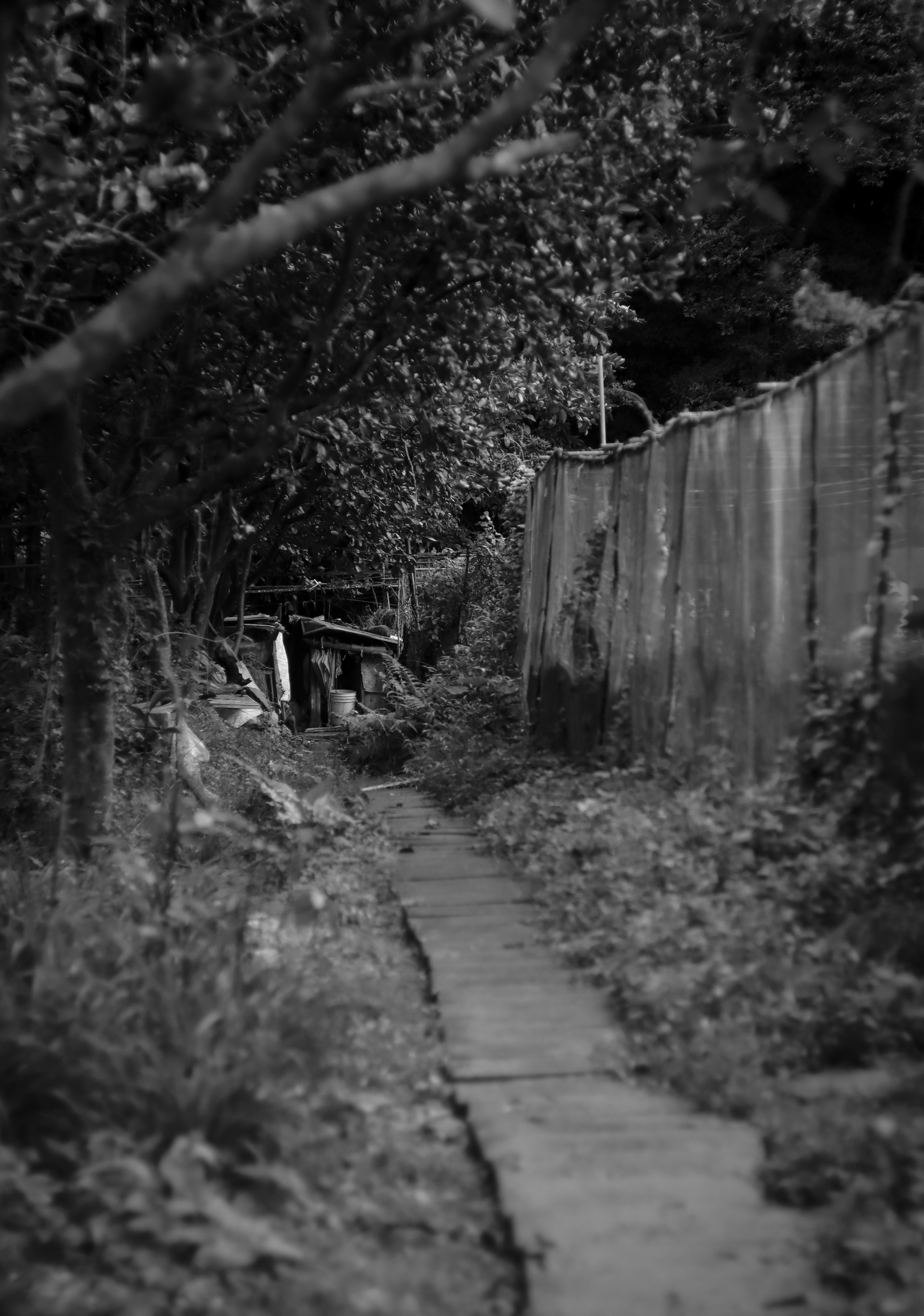 Photo by benjamin_1017