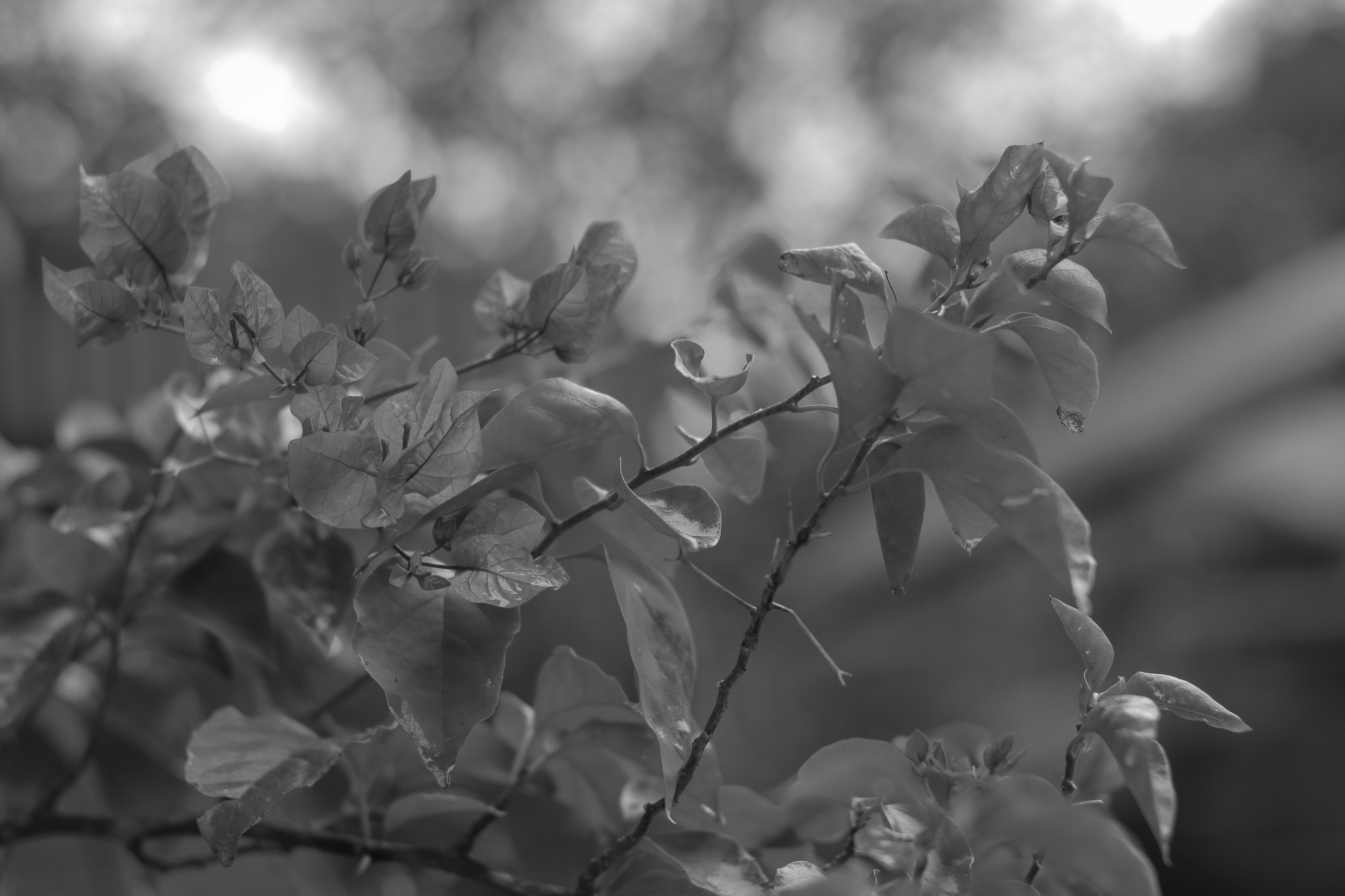 Photo by benjamin_1017