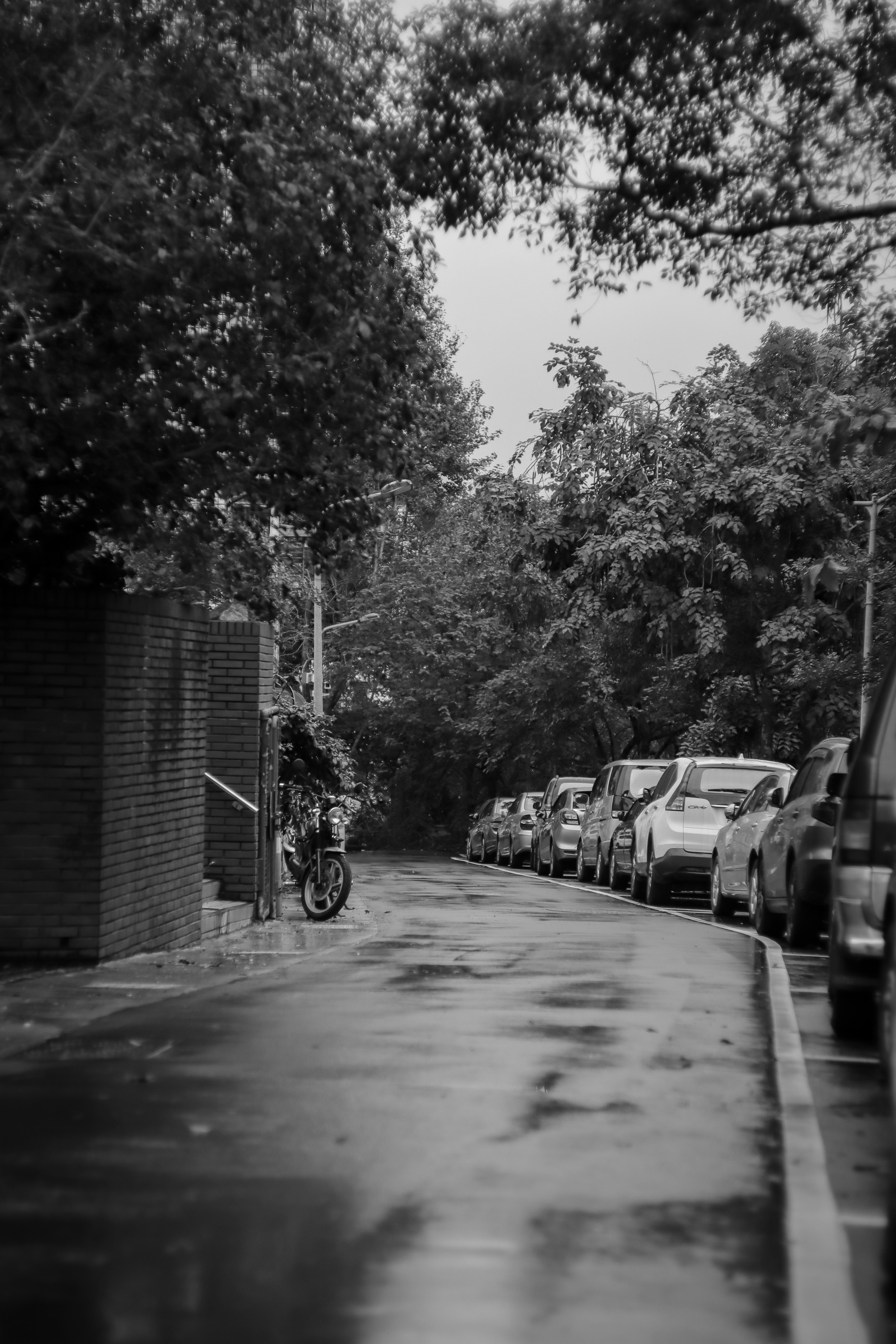 Photo by benjamin_1017