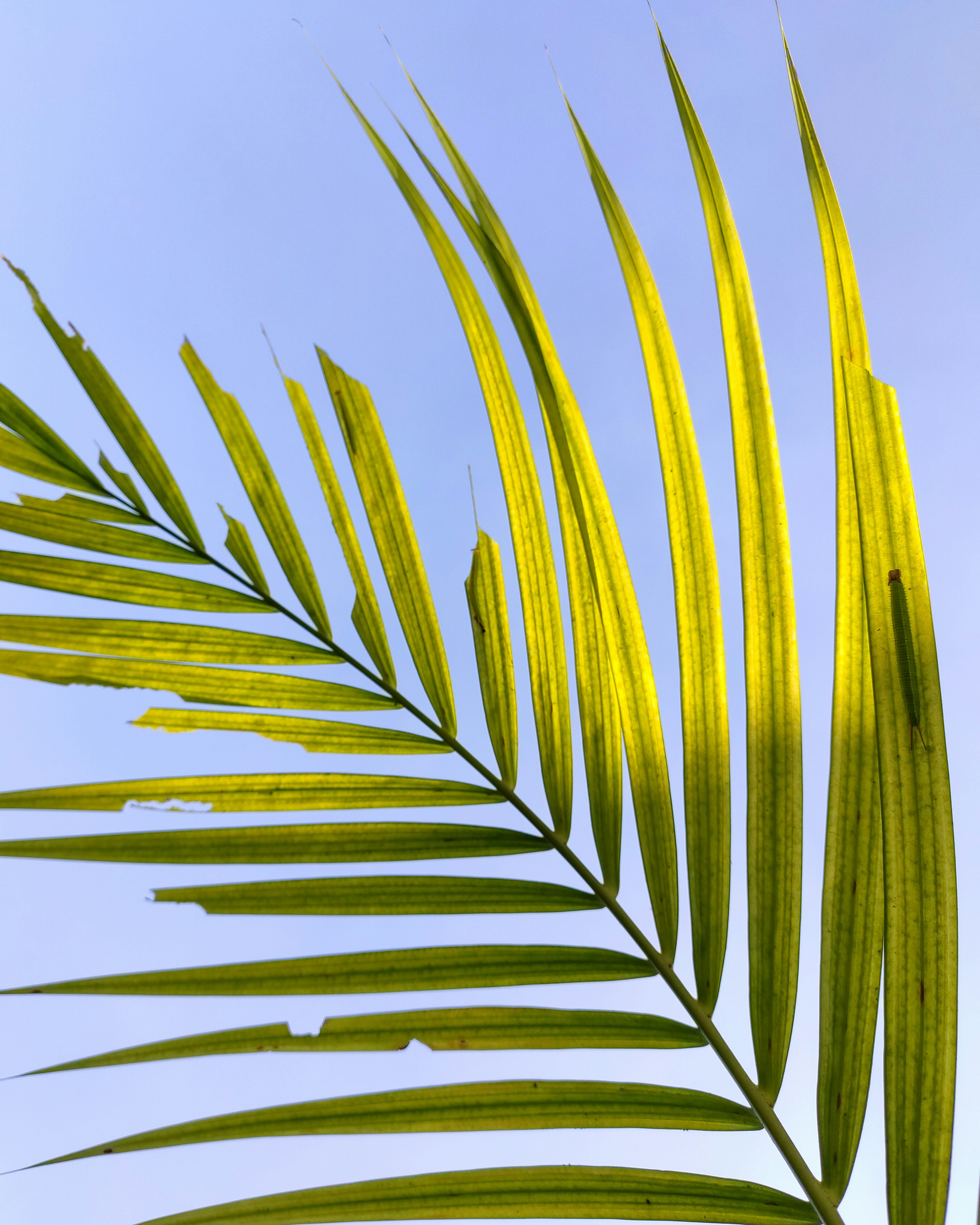 Photo by deepak_jpeg