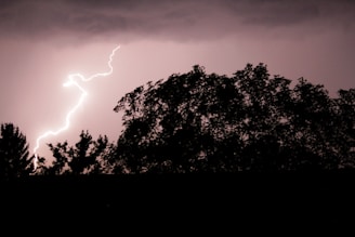 Lightning bolt illuminates the sky above the silhouette of trees, creating a striking contrast between the bright flash and the dark foreground.
