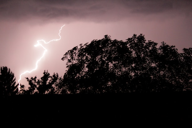 Lightning bolt illuminates the sky above the silhouette of trees, creating a striking contrast between the bright flash and the dark foreground.