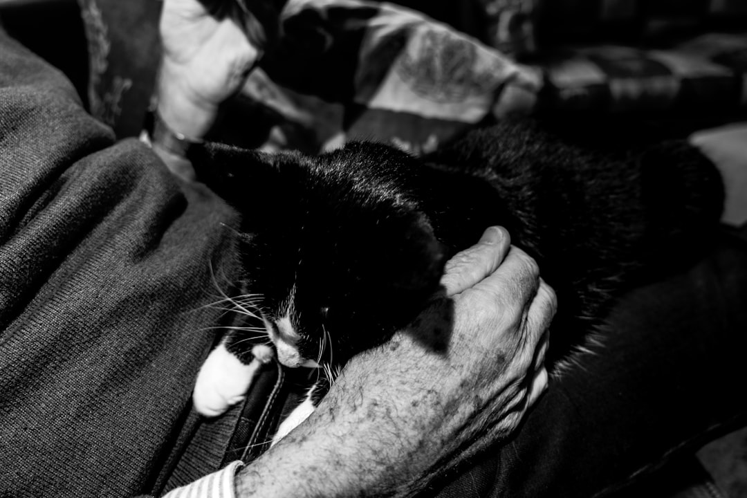 grayscale photo of man holding tuxedo cat