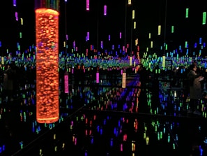 A dark room filled with an array of suspended vertical light tubes, each glowing in vibrant colors like orange, blue, green, and pink. The reflective surfaces create an effect of infinite lights and colors, giving a sense of depth and immersion. A few people can be seen observing the installation, adding a human element to the scene.