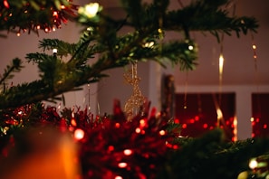 green pine tree with red baubles