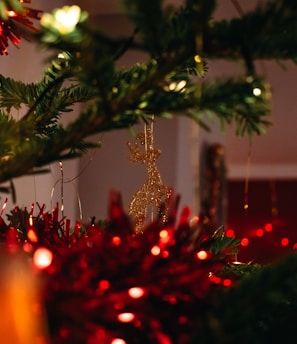 green pine tree with red baubles