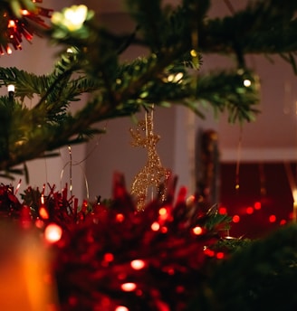 green pine tree with red baubles