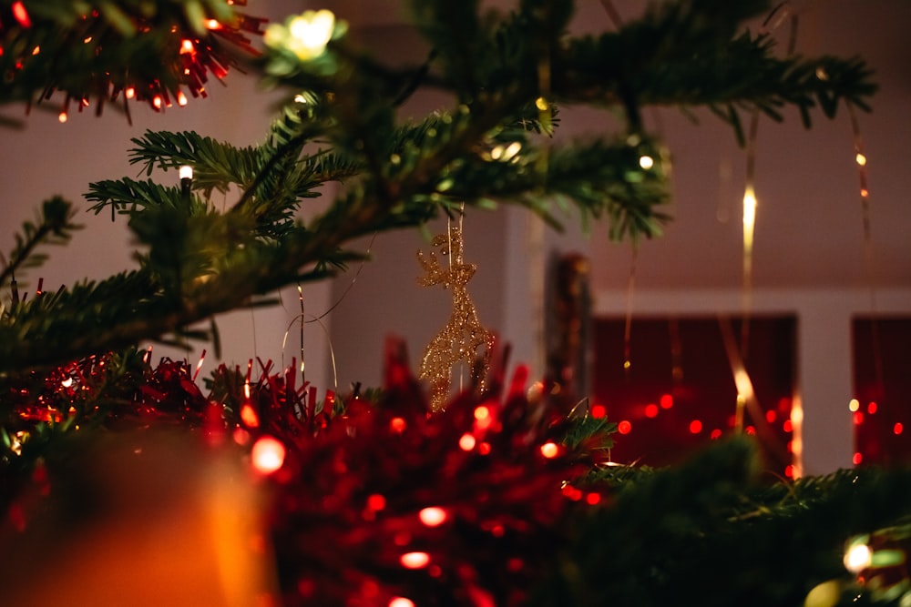 green pine tree with red baubles