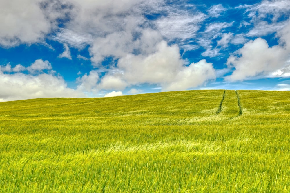 Bạn muốn tìm kiếm một bức ảnh nền xanh mát, cảm giác bình yên và đầy sống động? Hãy thả mình vào không gian cánh đồng cỏ xanh dưới bầu trời xanh và mây trắng vào ban ngày. Hình ảnh này sẽ giúp bạn đánh thức sự lãng mạn trong tâm hồn.