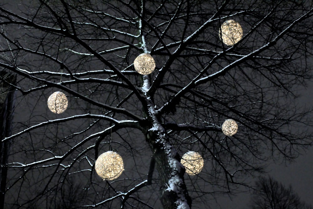 Adornos de oro y plata en el árbol