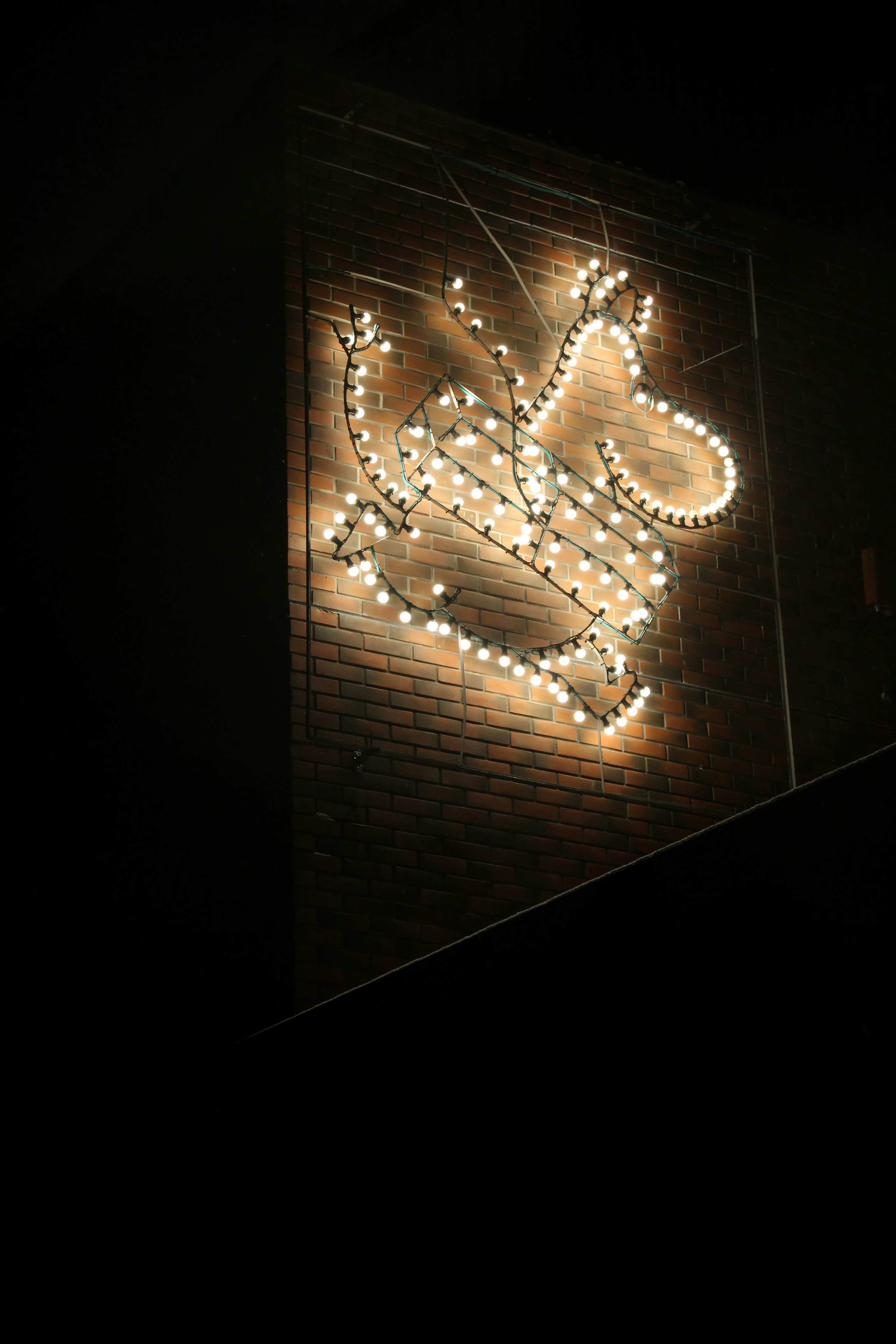 Unsplash has an amazing collection of light backgrounds, covering all different shades and styles. Our images are professionally-shot, and you can use any/all of them for free!