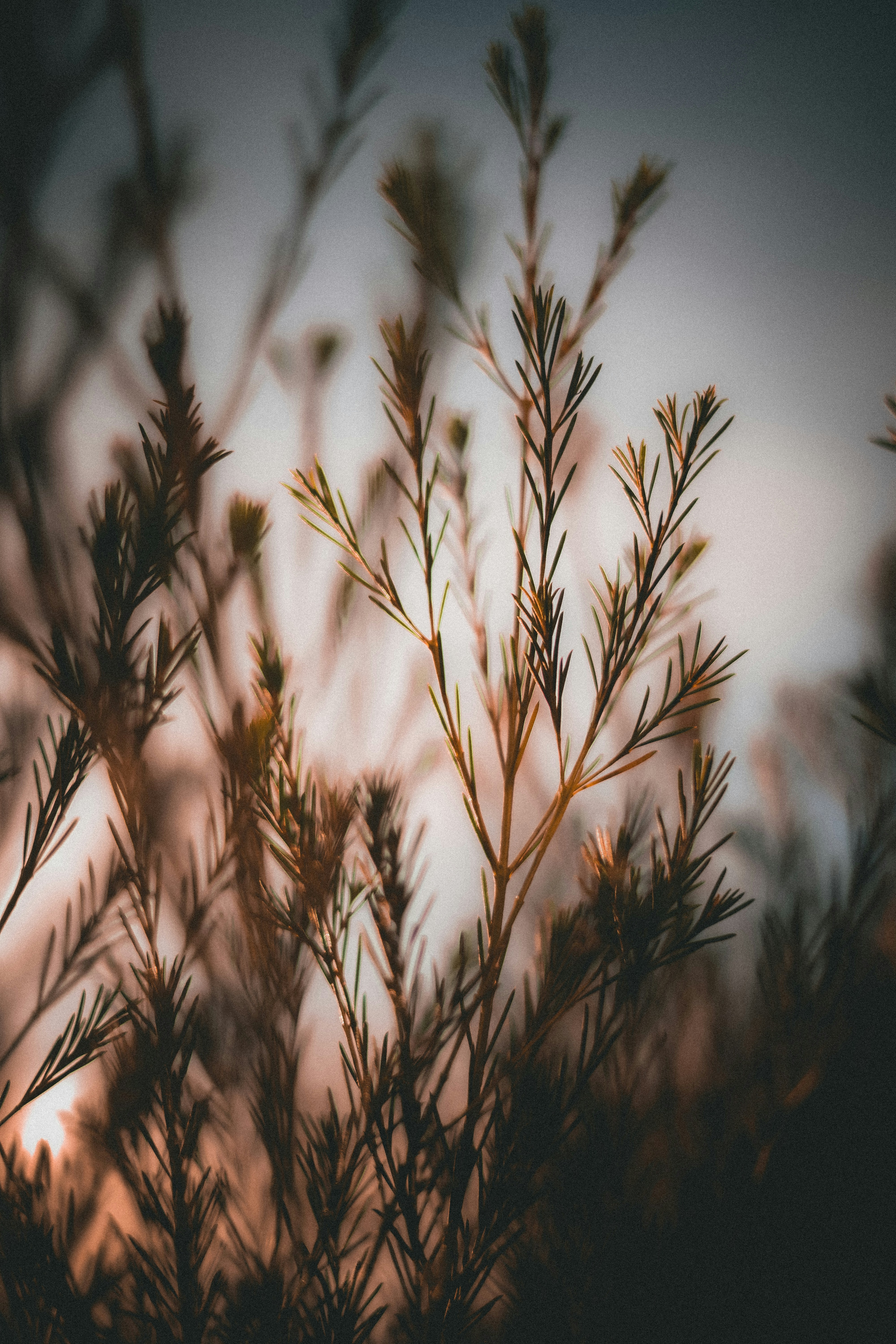 Photo by lawlesscapture