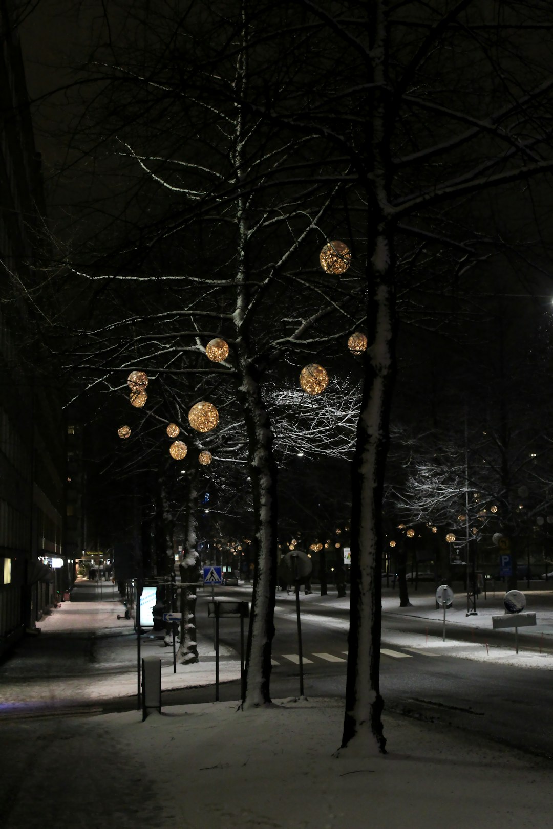 brown tree with yellow string lights during night time