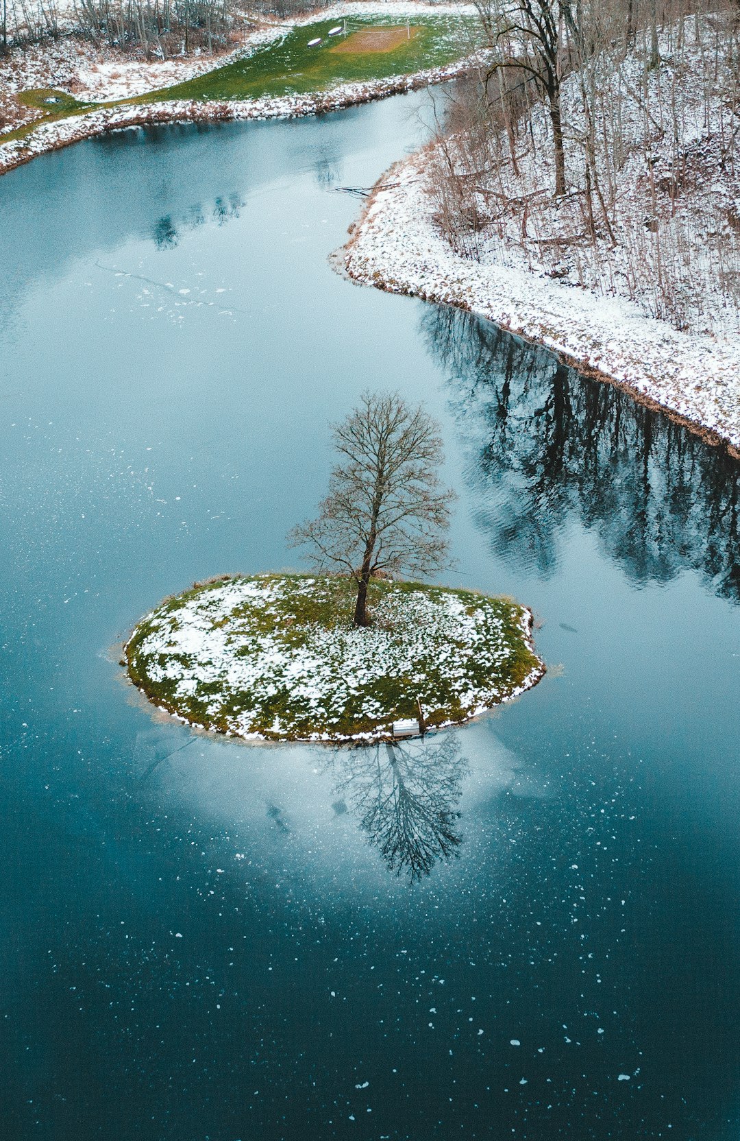 snow covered mountain and trees