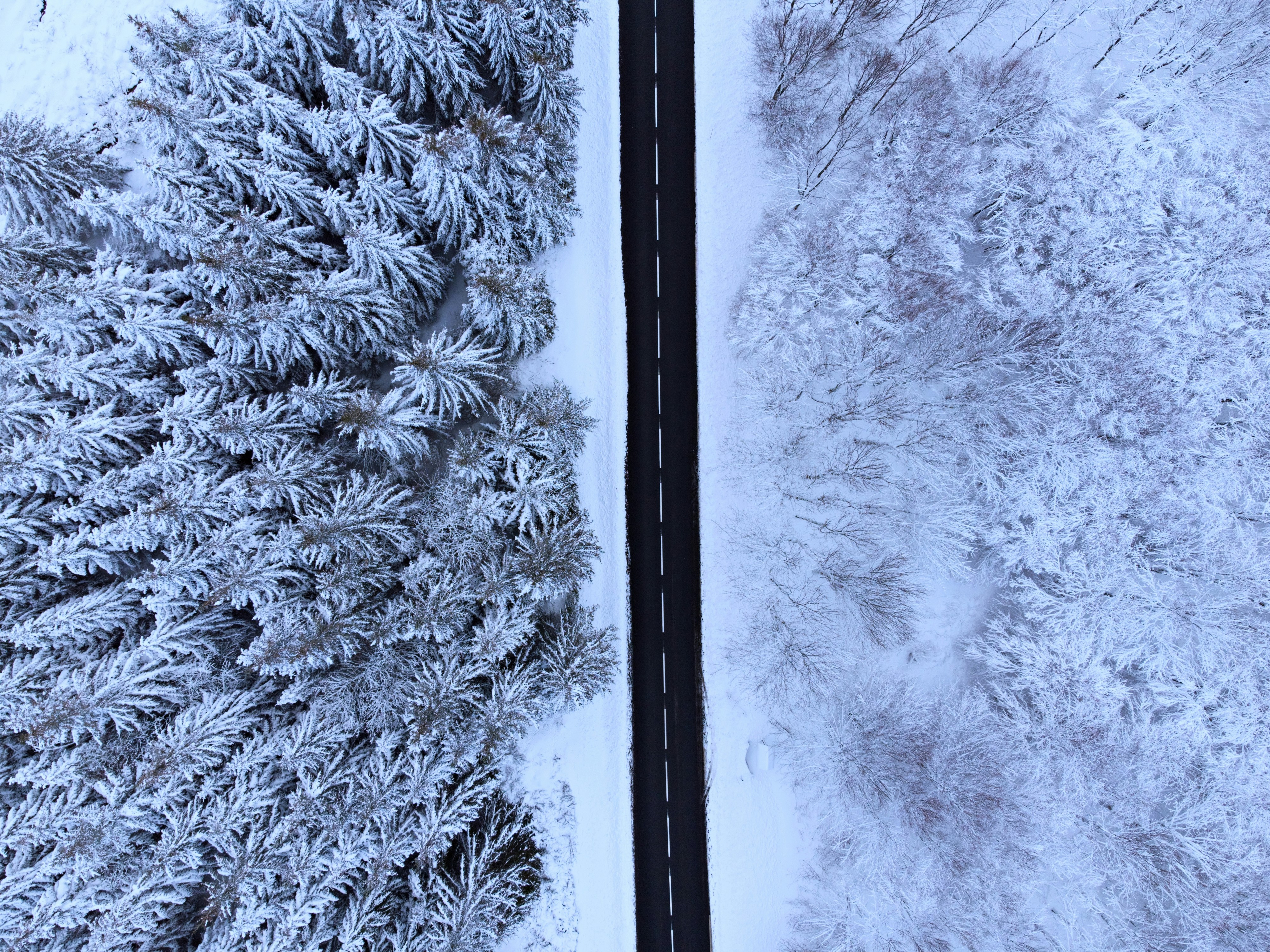 Photo by bruncolombo