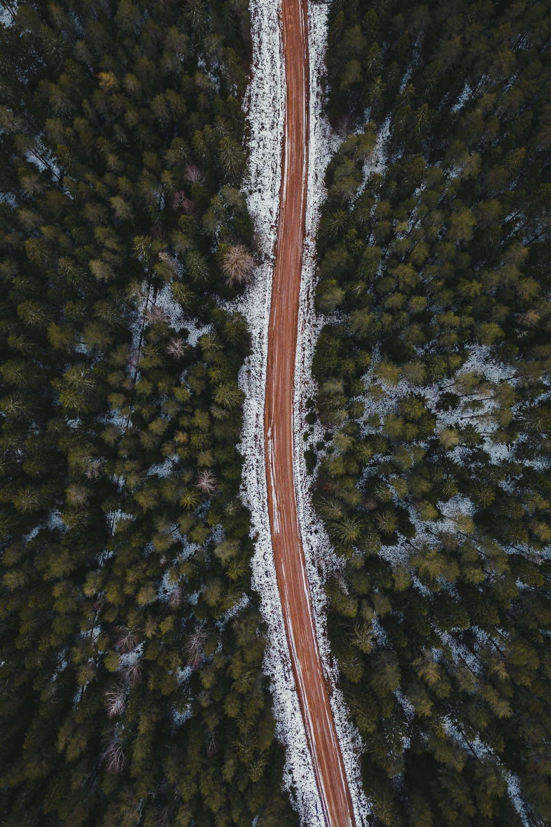 aerial view of road in the middle of green trees