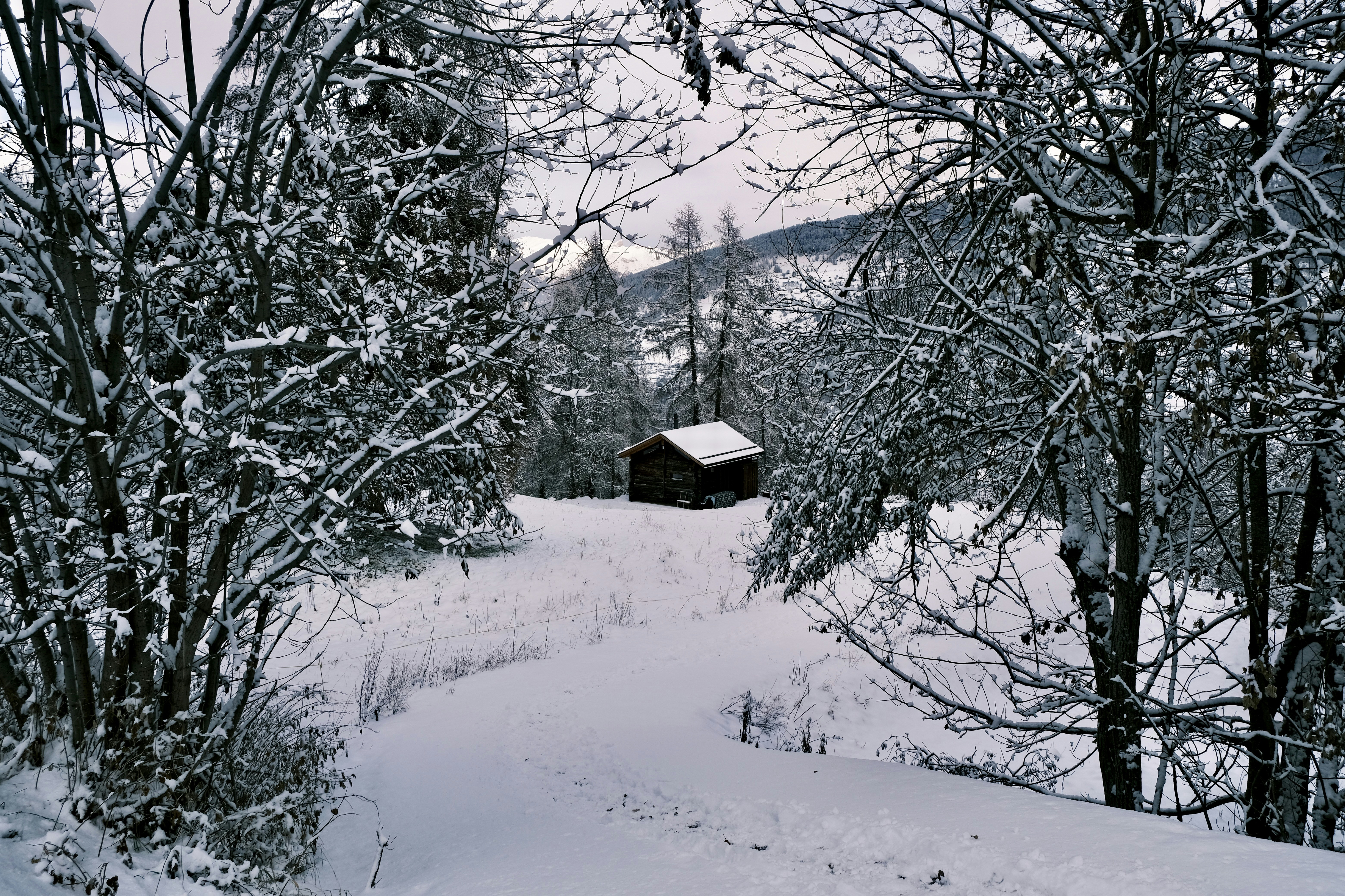 Photo by etienneflorent