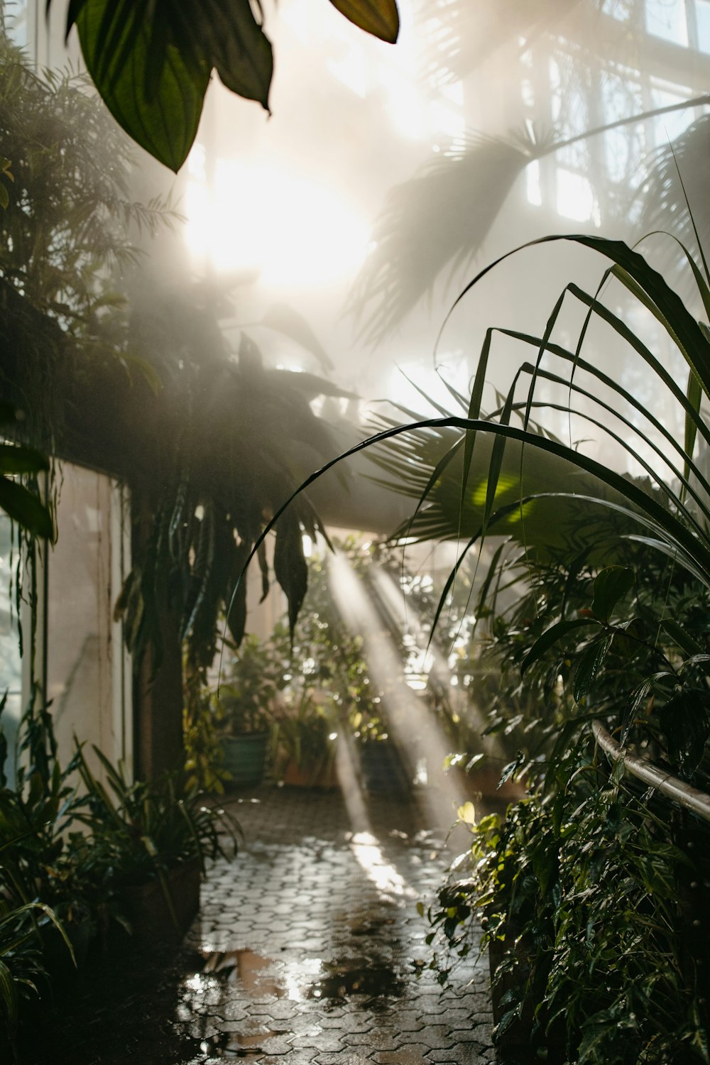 green leaf plant during daytime