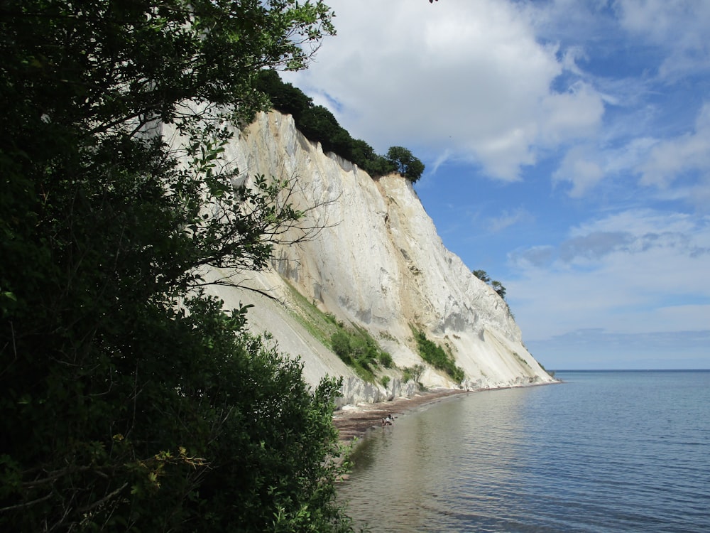 alberi verdi vicino allo specchio d'acqua durante il giorno