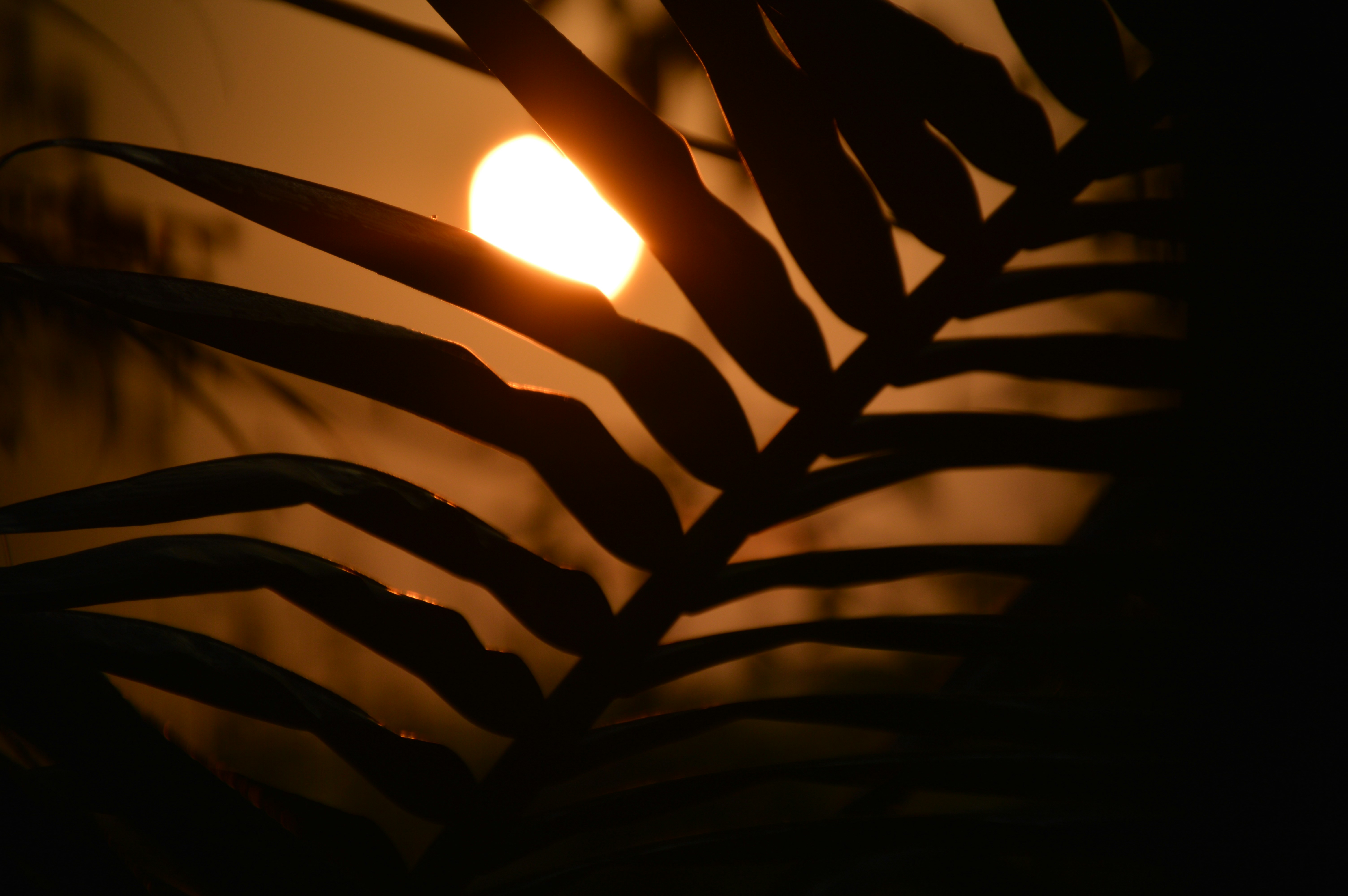 新しい始まりを告げる朝日