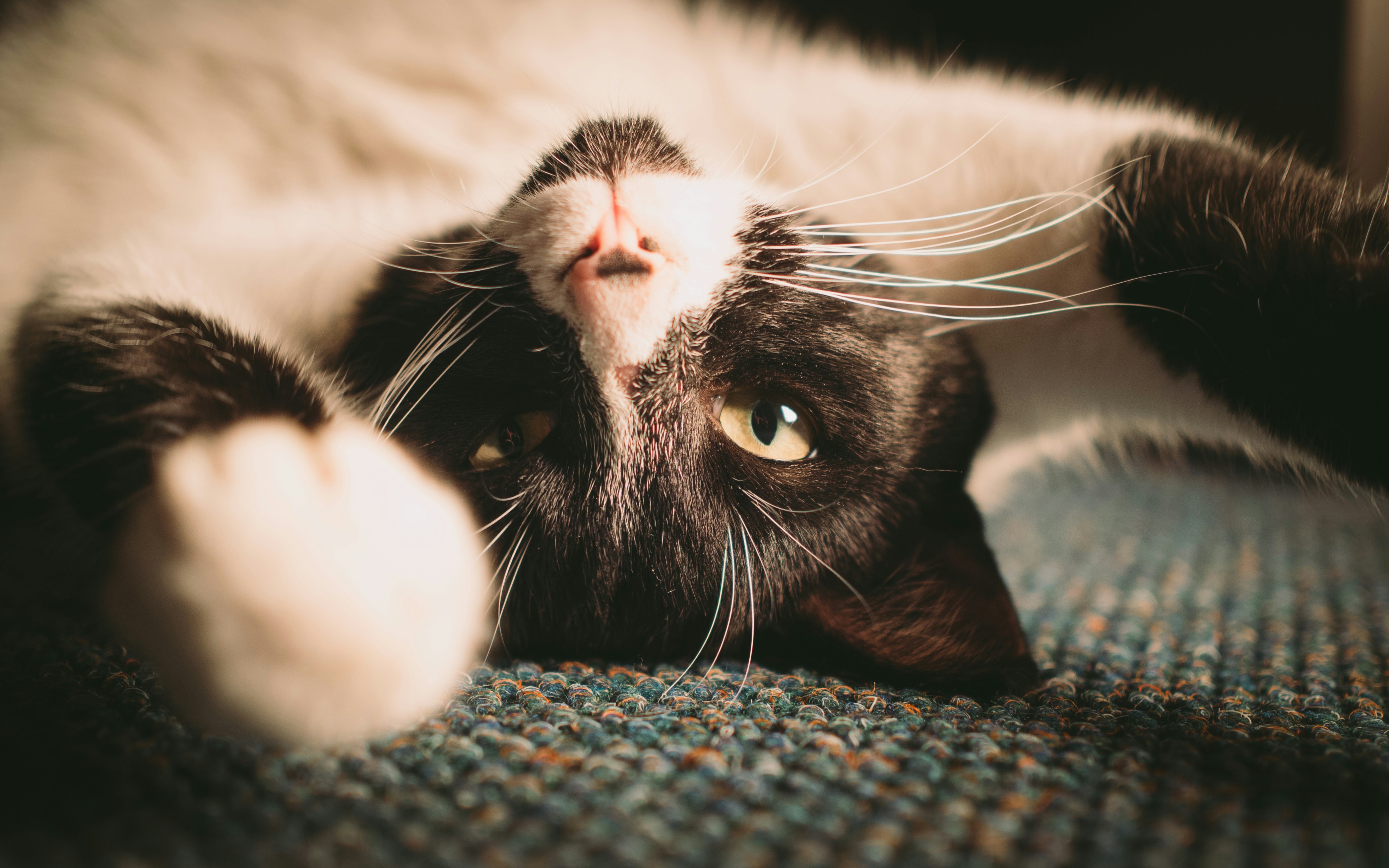 Photo by stuffinabox