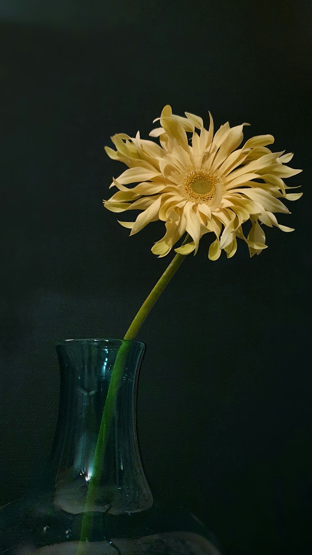 white and yellow flower in green glass vase