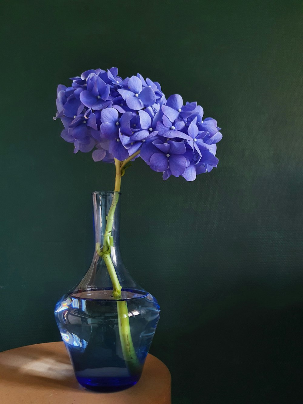 purple flower in blue glass vase