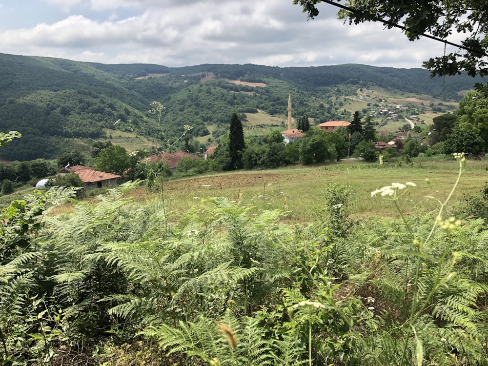 campo de grama verde perto de casas e árvores durante o dia