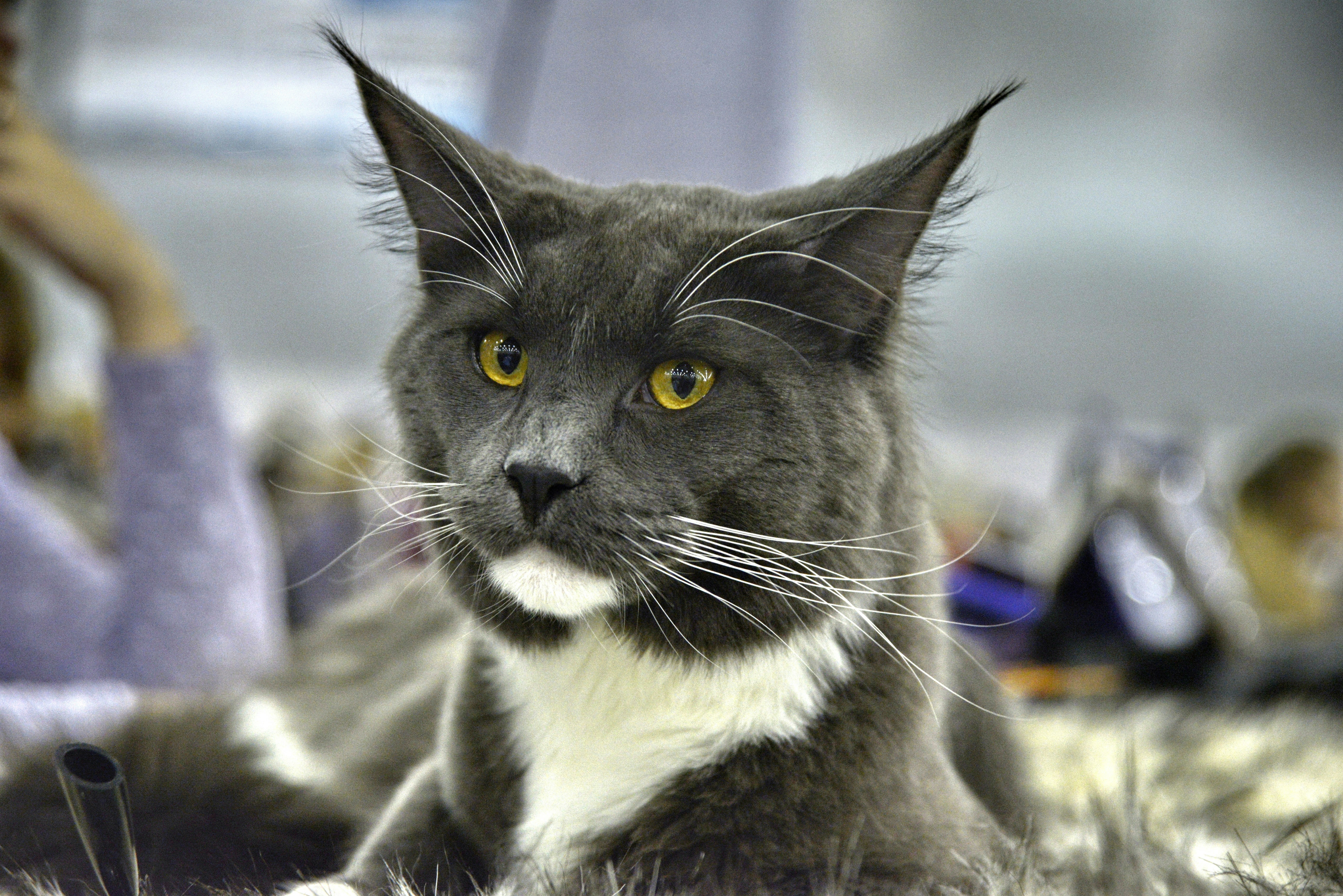 Educational Programs and School Curricula (image credits: unsplash)