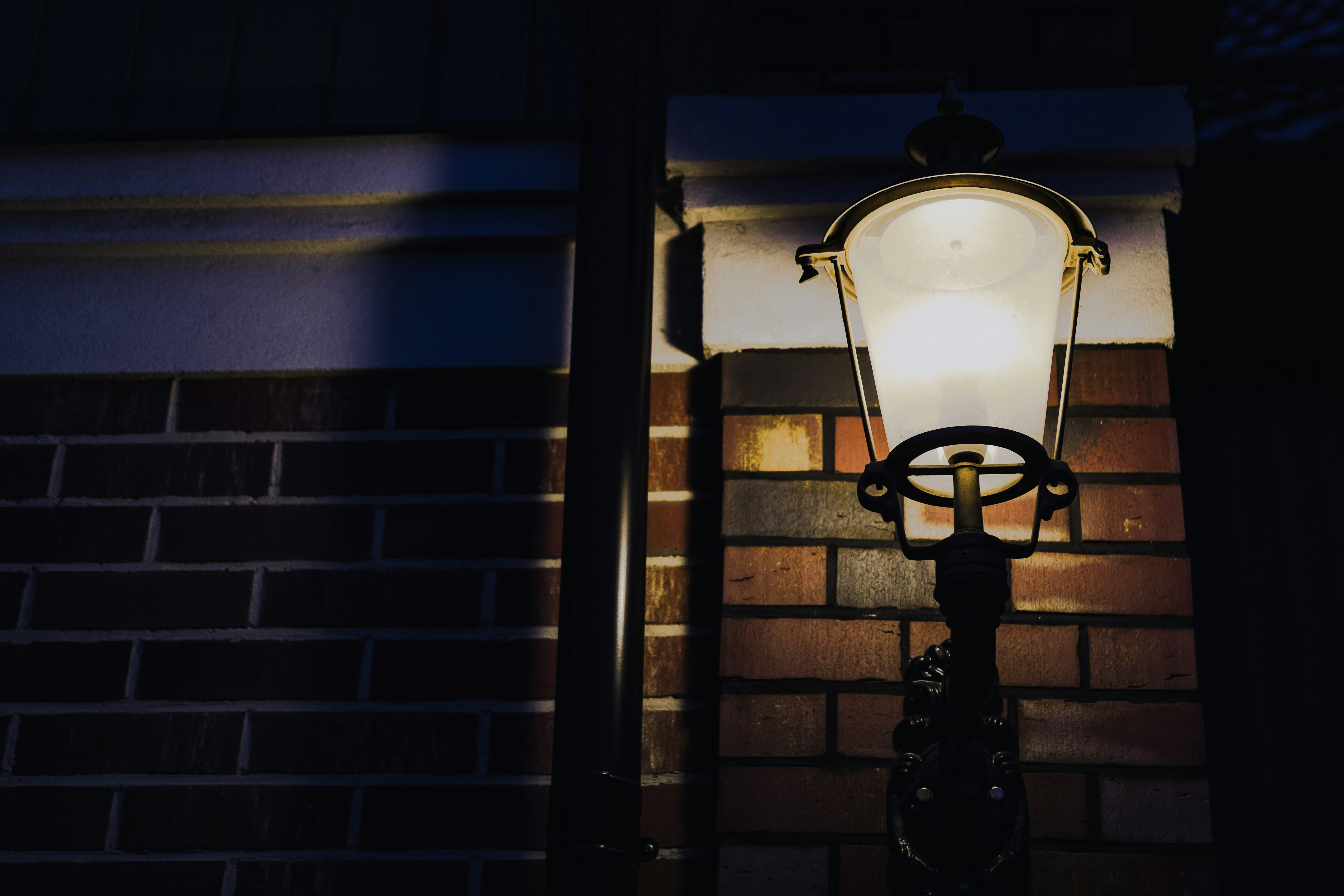 Photo by maksym_tymchyk