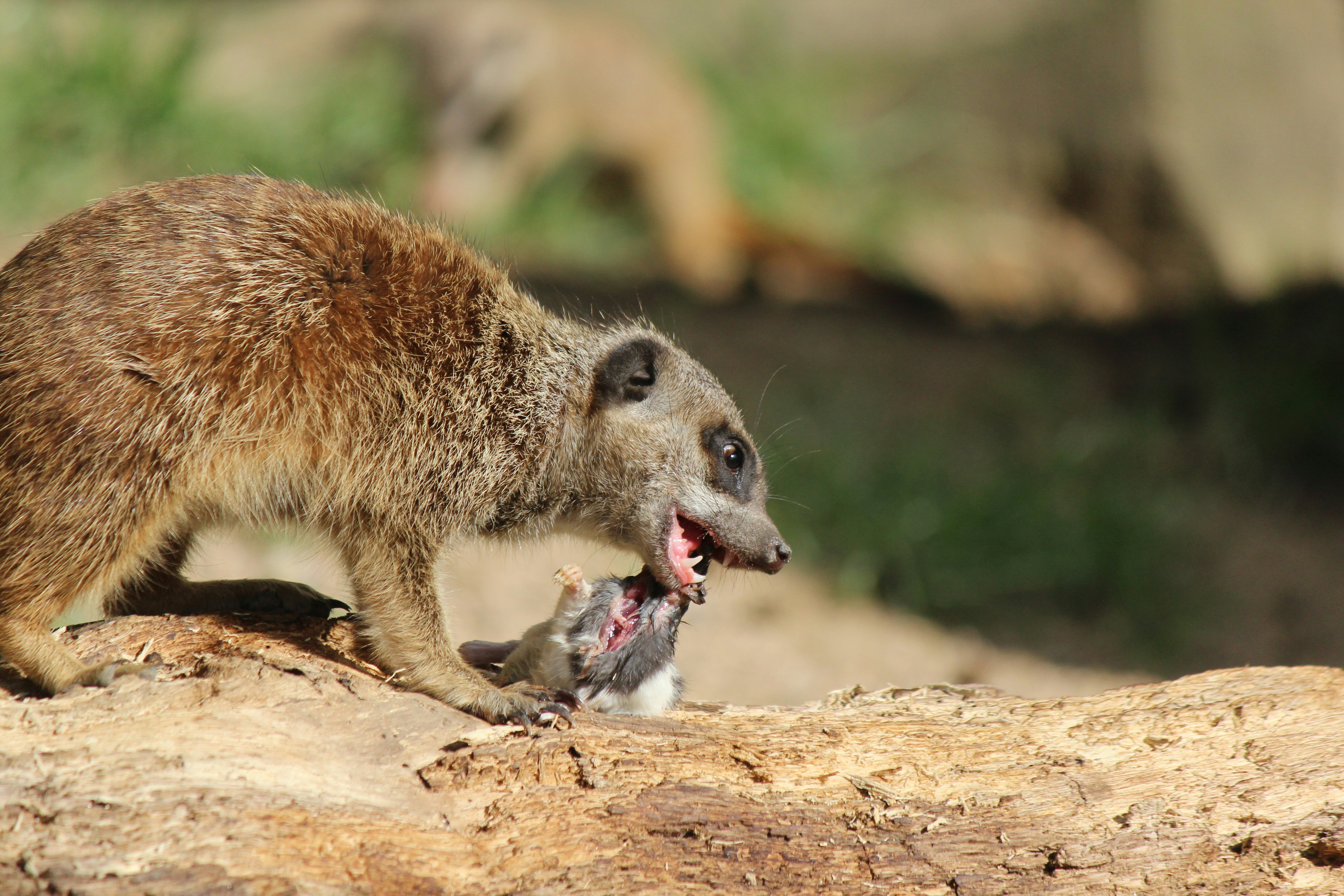 Photo by haim_charbit18