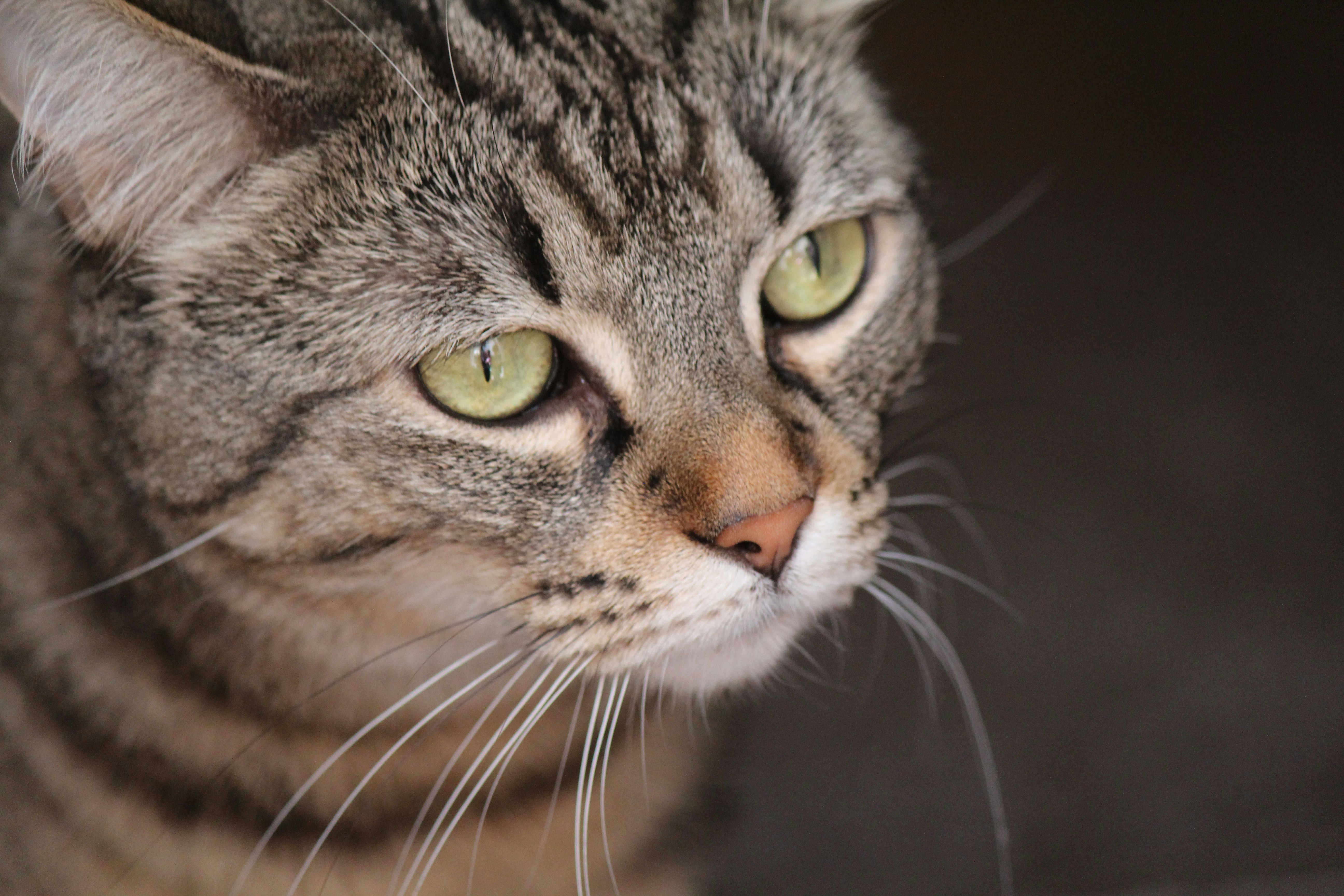 Photo by haim_charbit18