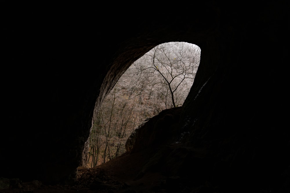 a dark tunnel with trees in the background