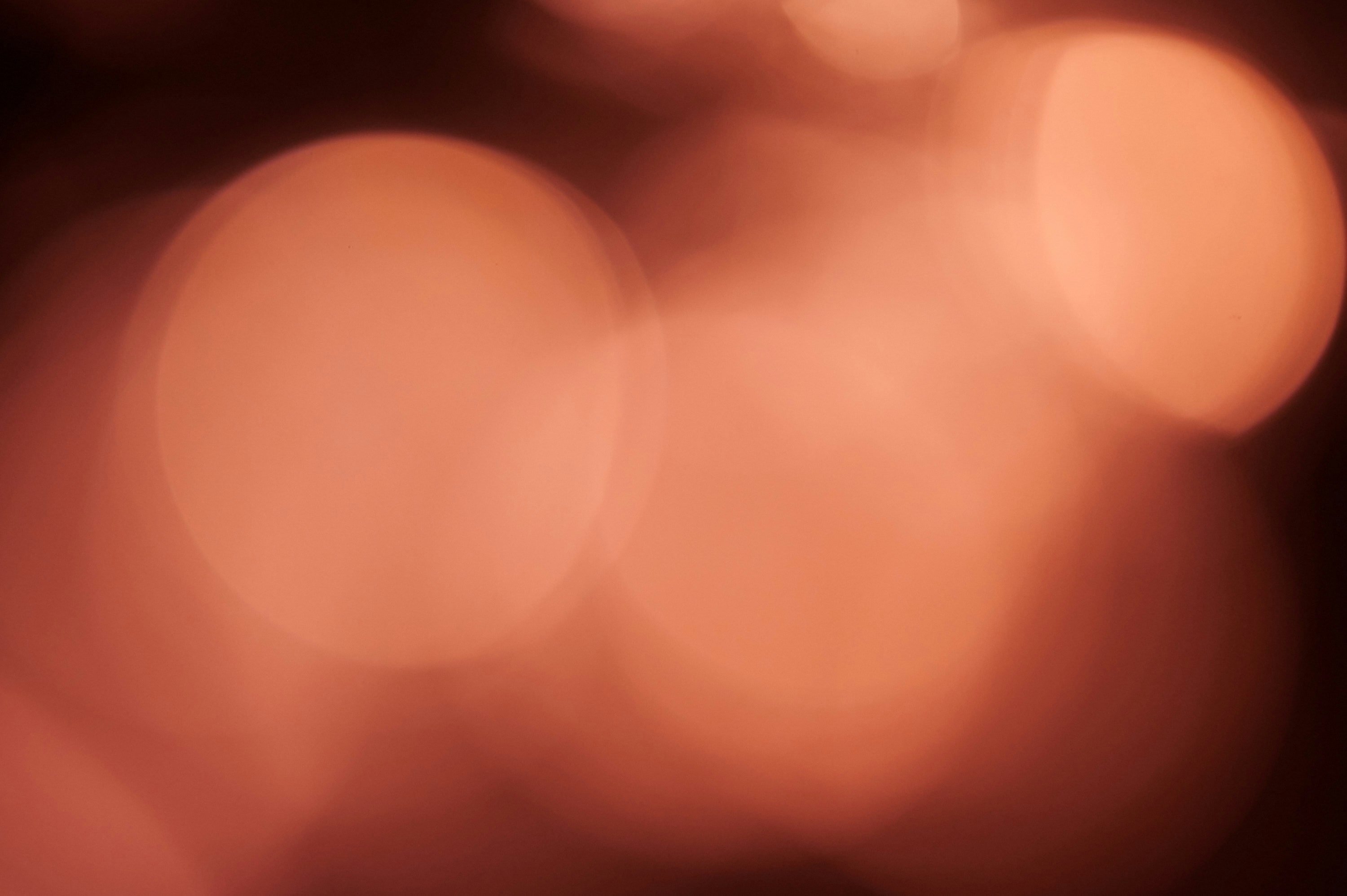 photo-1607202563066-7fbcc6b72b22?ixid=M3wxMjA3fDB8MXxzZWFyY2h8OHx8bmdlbnRvdCUyMGFuYWx8ZW58MHx8fHwxNzU5MjM5NjAzfDA\u0026ixlib=rb-4.1.0