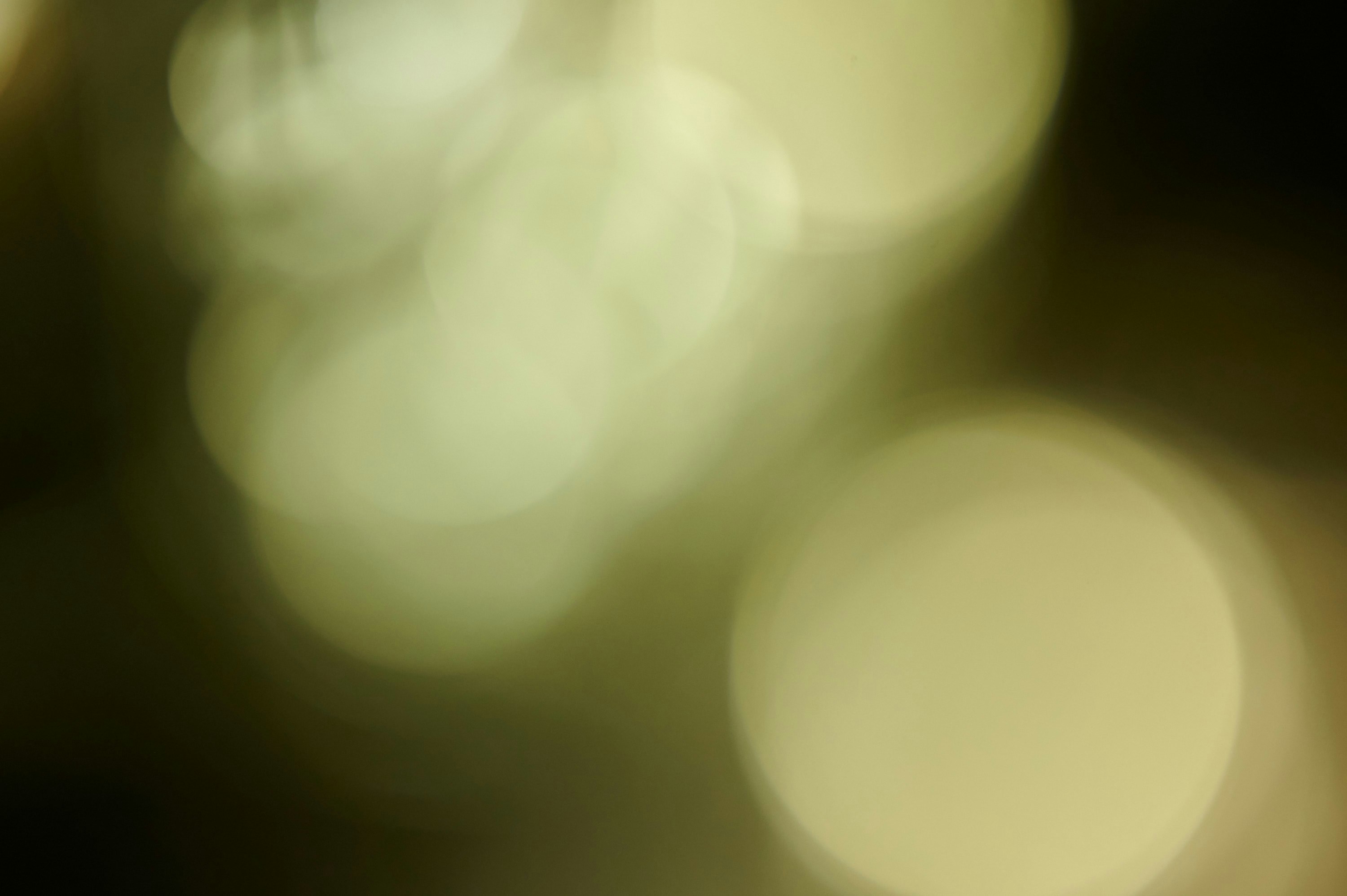 מְקֻפָּל כְּעֻבָּר בְּרֶחֶם הַצִּינוֹק, לְעוֹלָ� 1