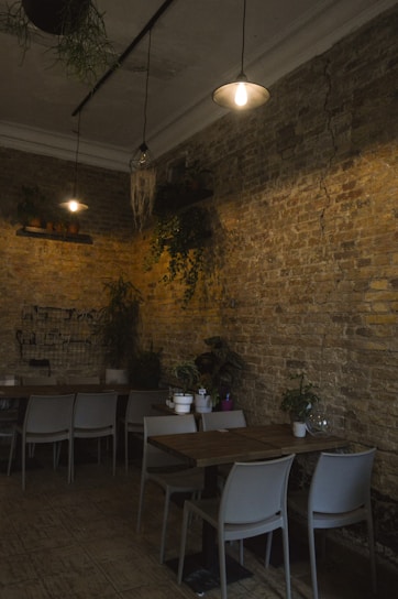 A warm, inviting eco-friendly restaurant interior with natural green, white, and wood tones.
