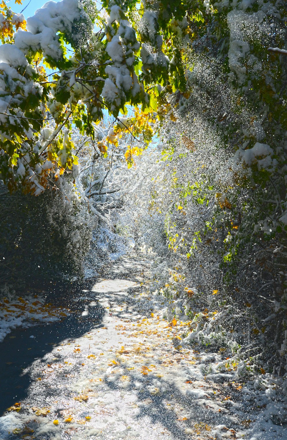 water falling on the ground