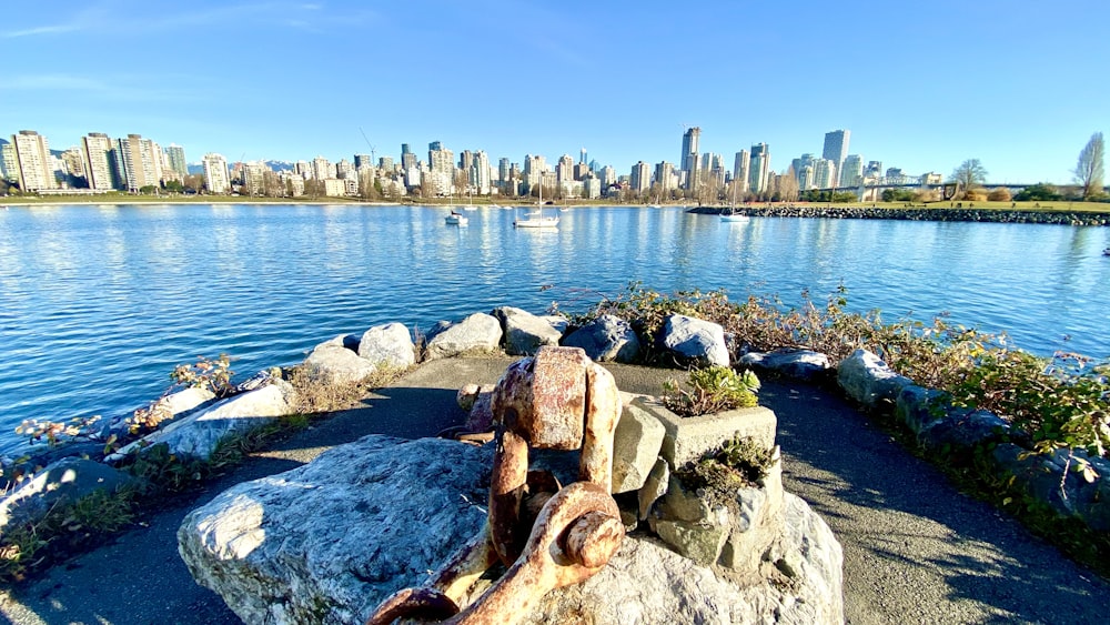 gray rocks near body of water during daytime